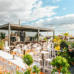 StadtSpionin Reportage: Rooftop-Bars Wien/Organics Sky Garden