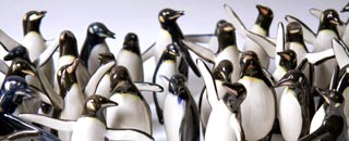Eine Gruppe von Pinguin-Figuren aus Keramik oder Porzellan steht dicht beieinander