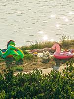 Fotowettbewerb Donauinsel