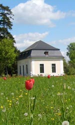 Schloss Grafenegg