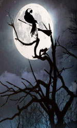 Die StadtSpionin Tipp der Woche Halloween