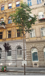 Die StadtSpionin Wochentipp StadtSpionin Straßenfest