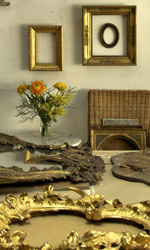 Wochentipp Wunderkammer, Foto: Die Werkstatt
