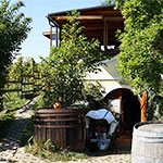 StadtSpionin Reportage: Heuriger mit Twist, Weingut Walter